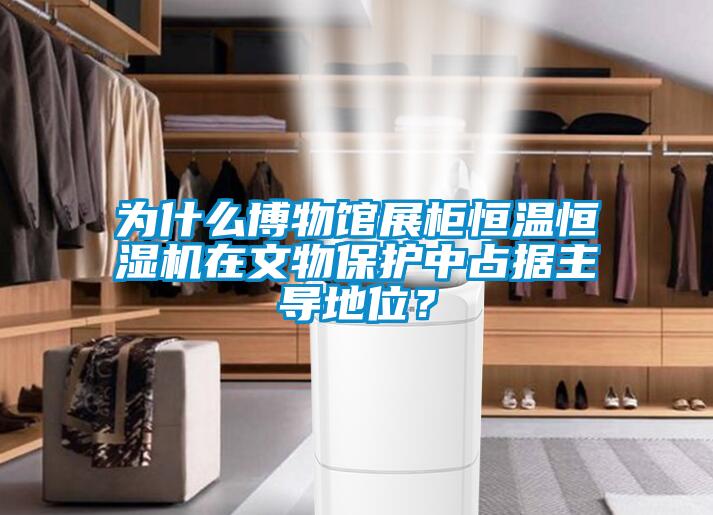 為什麽博物館展櫃恒溫恒濕機在文物保護中占據主導地位？