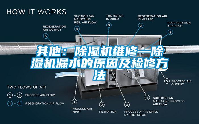 其他：草莓视频下载网址維修—草莓视频下载网址漏水的原因及檢修方法