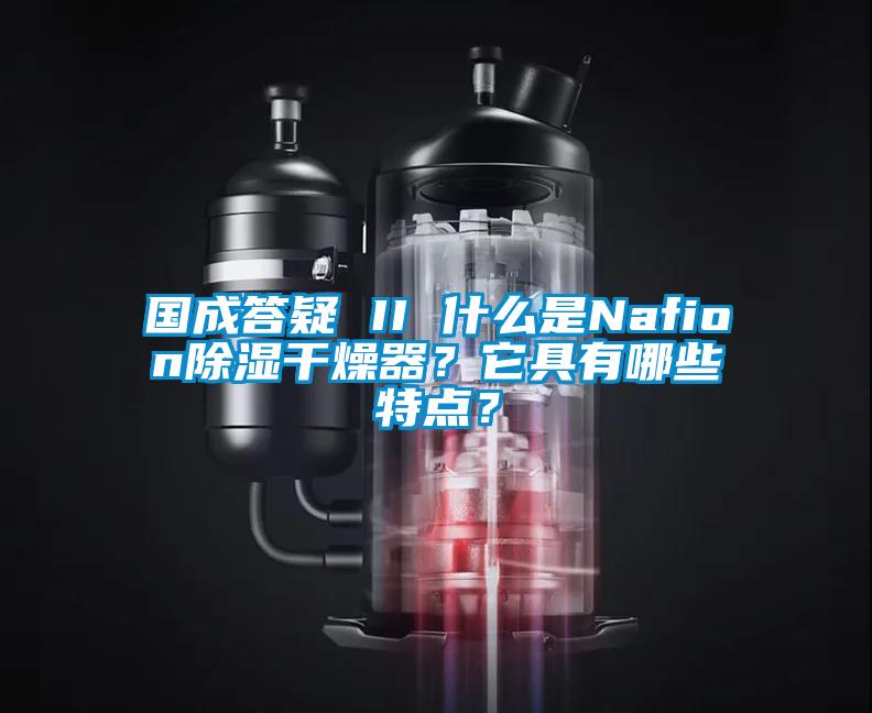 國成答疑 II 什麽是Nafion除濕幹燥器？它具有哪些特點？