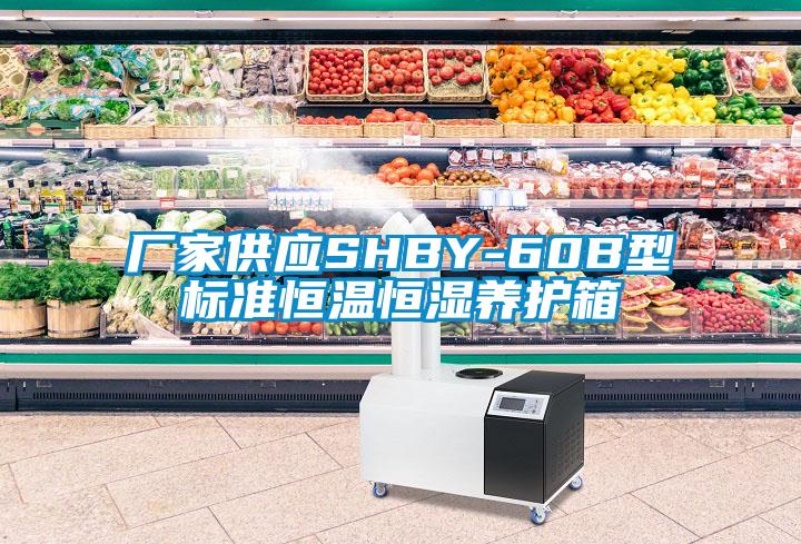 廠家供應SHBY-60B型標準恒溫恒濕養護箱