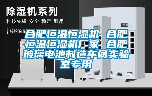 合肥恒溫恒濕機 合肥恒溫恒濕機廠家 合肥玻璃電池製造車間實驗室專用