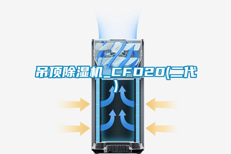 吊頂草莓视频下载网址_CFD20(二代)