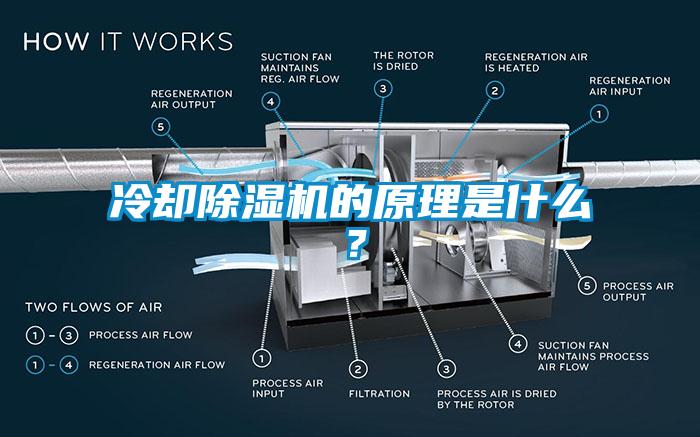 冷卻草莓视频下载网址的原理是什麽？