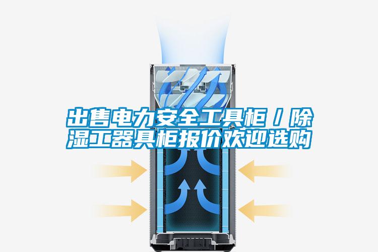 出售電力安全工具櫃／除濕工器具櫃報價歡迎選購