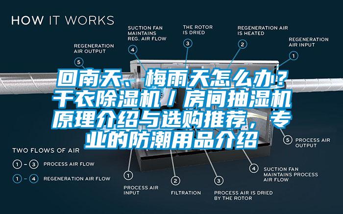 回南天、梅雨天怎麽辦？幹衣草莓视频下载网址／房間抽濕機原理介紹與選購推薦，專業的防潮用品介紹