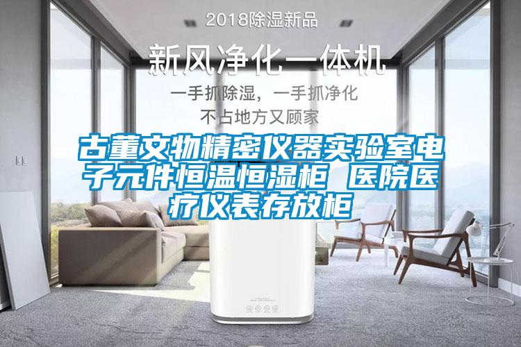 古董文物精密儀器實驗室電子元件恒溫恒濕櫃 醫院醫療儀表存放櫃