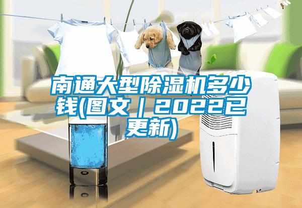 南通大型草莓视频下载网址多少錢(圖文｜2022已更新)