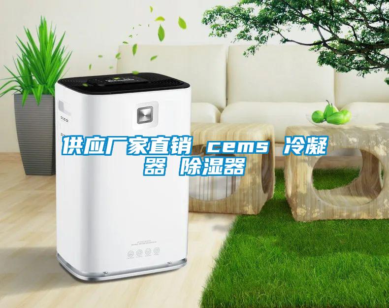 供應廠家直銷 cems 冷凝器 除濕器