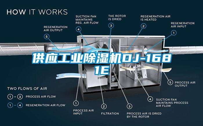 供應工業草莓视频下载网址DJ-1681E