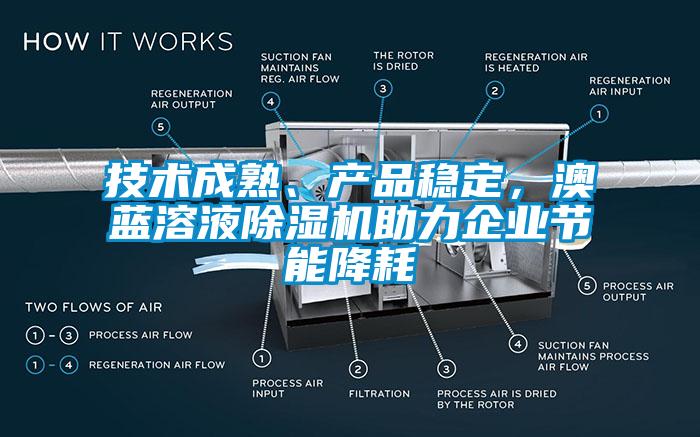 技術成熟、產品穩定，澳藍溶液草莓视频下载网址助力企業節能降耗