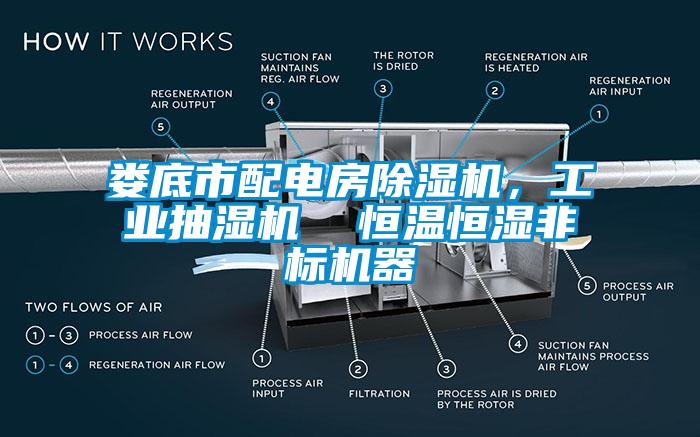 婁底市配電房草莓视频下载网址，工業抽濕機  恒溫恒濕非標機器