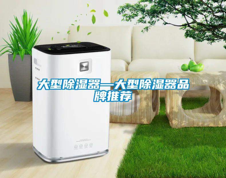 大型除濕器—大型除濕器品牌推薦