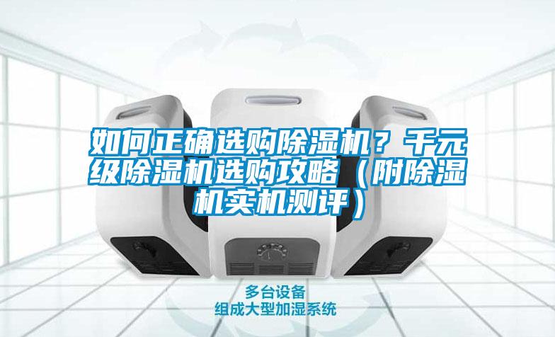 如何正確選購草莓视频下载网址？千元級草莓视频下载网址選購攻略（附草莓视频下载网址實機測評）