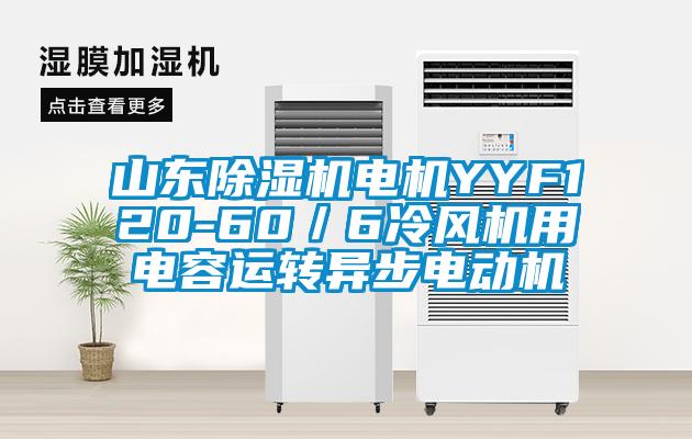 山東草莓视频下载网址電機YYF120-60／6冷風機用電容運轉異步電動機