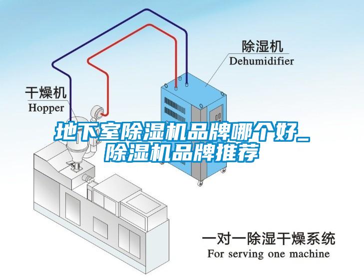 地下室草莓视频下载网址品牌哪個好_草莓视频下载网址品牌推薦