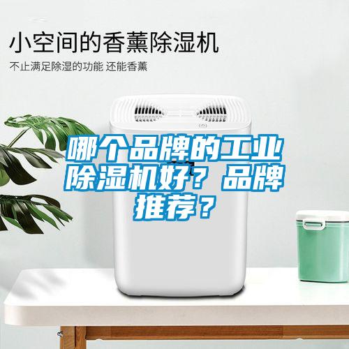 哪個品牌的工業草莓视频下载网址好？品牌推薦？