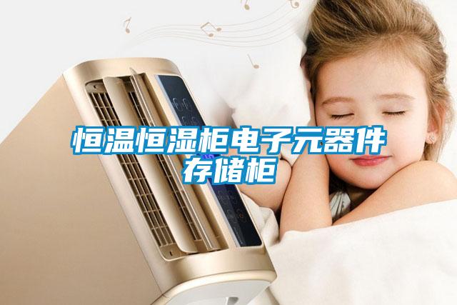 恒溫恒濕櫃電子元器件存儲櫃