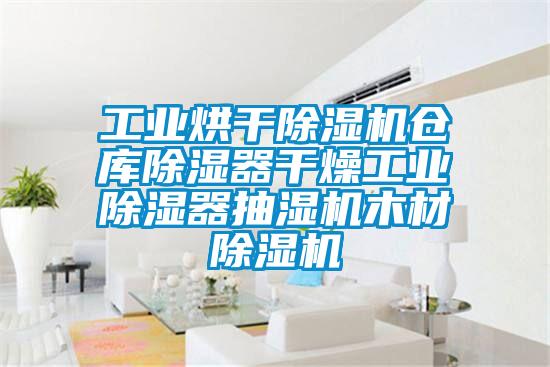 工業烘幹草莓视频下载网址倉庫除濕器幹燥工業除濕器抽濕機木材草莓视频下载网址