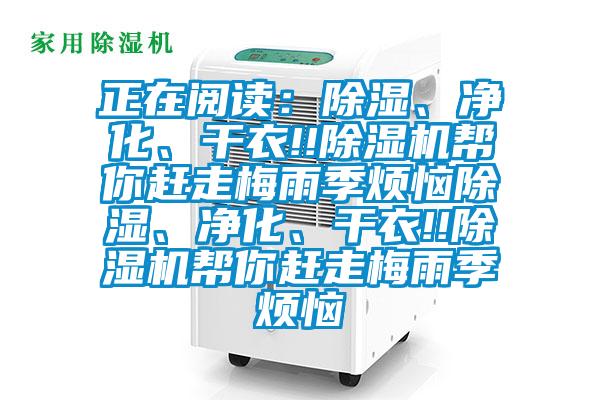 正在閱讀：除濕、淨化、幹衣!!草莓视频下载网址幫你趕走梅雨季煩惱除濕、淨化、幹衣!!草莓视频下载网址幫你趕走梅雨季煩惱