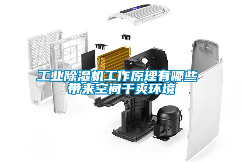 工業草莓视频下载网址工作原理有哪些 帶來空間幹爽環境