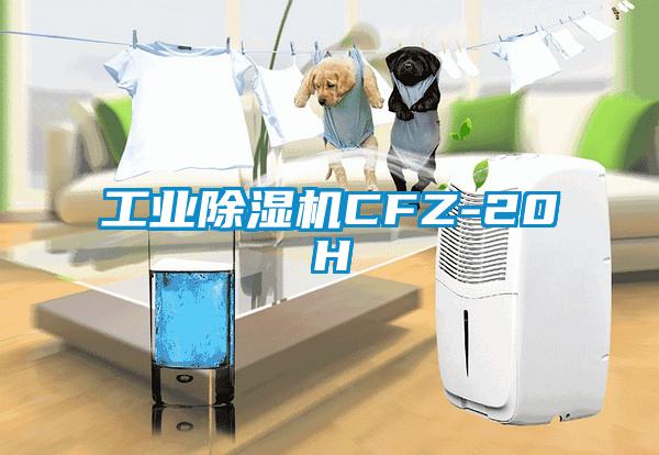 工業草莓视频下载网址CFZ-20H