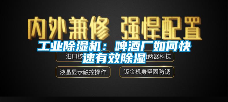 工業草莓视频下载网址：啤酒廠如何快速有效除濕