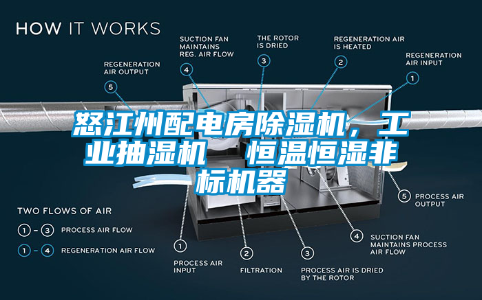 怒江州配電房草莓视频下载网址，工業抽濕機  恒溫恒濕非標機器