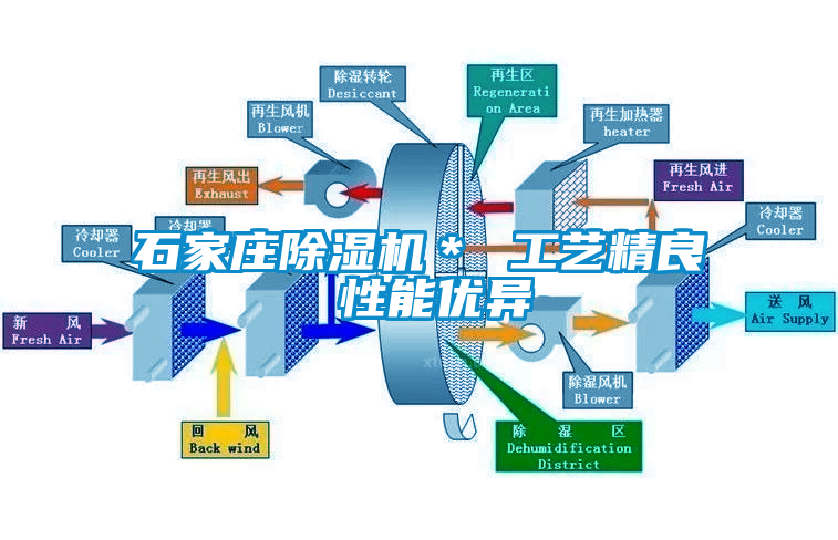 石家莊草莓视频下载网址＊ 工藝精良 性能優異