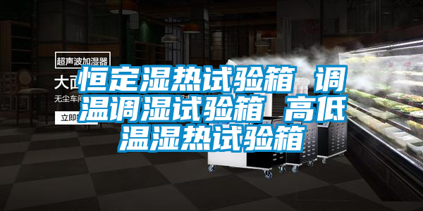 恒定濕熱試驗箱 調溫調濕試驗箱 高低溫濕熱試驗箱