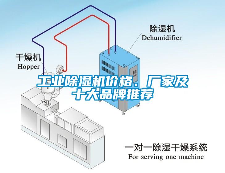 工業草莓视频下载网址價格、廠家及十大品牌推薦