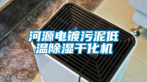 河源電鍍汙泥低溫除濕幹化機