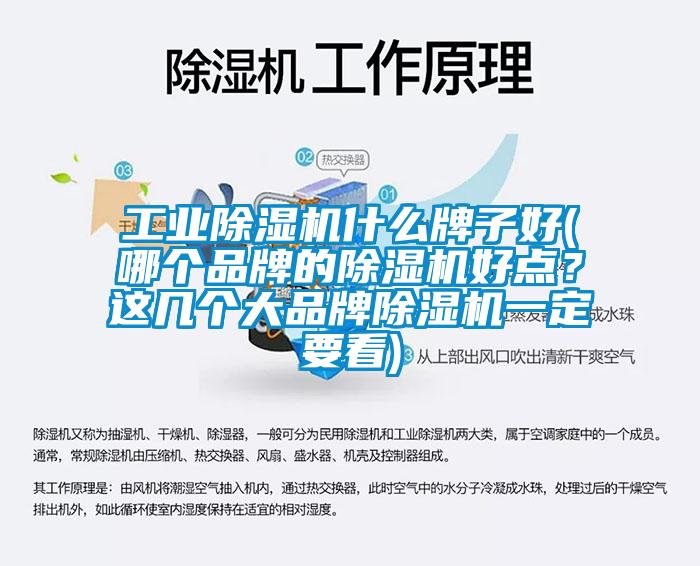 工業草莓视频下载网址什麽牌子好(哪個品牌的草莓视频下载网址好點？這幾個大品牌草莓视频下载网址一定要看)