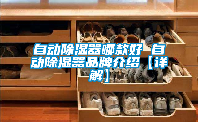 自動除濕器哪款好 自動除濕器品牌介紹【詳解】