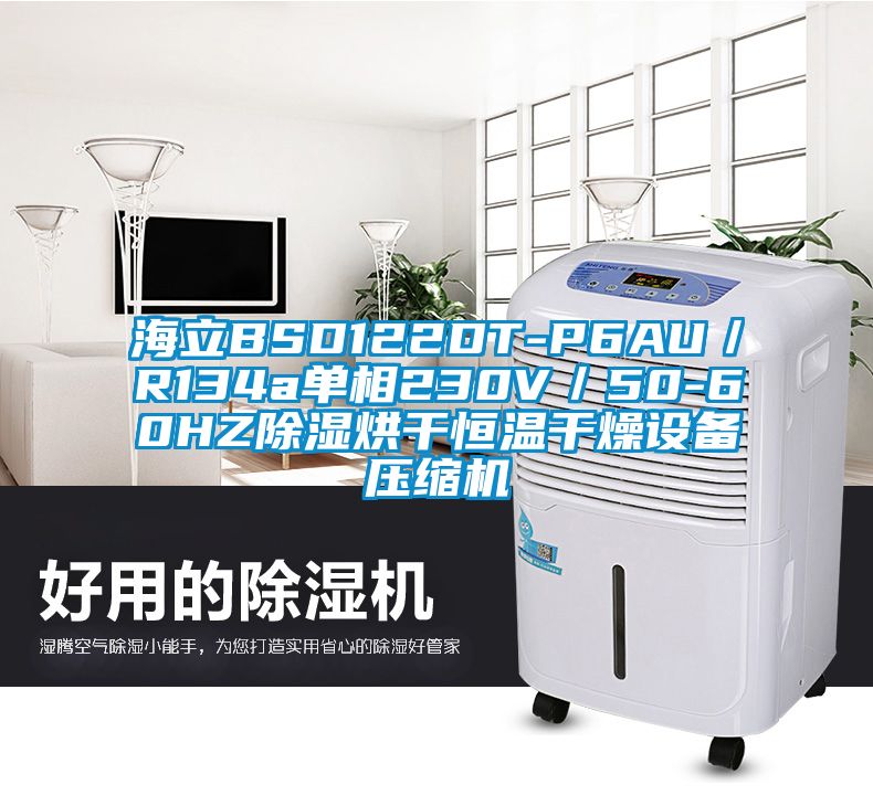 海立BSD122DT-P6AU／R134a單相230V／50-60HZ除濕烘幹恒溫幹燥設備壓縮機