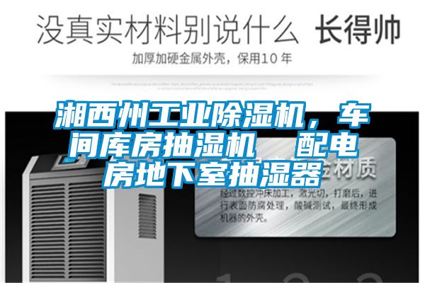 湘西州工業草莓视频下载网址，車間庫房抽濕機  配電房地下室抽濕器