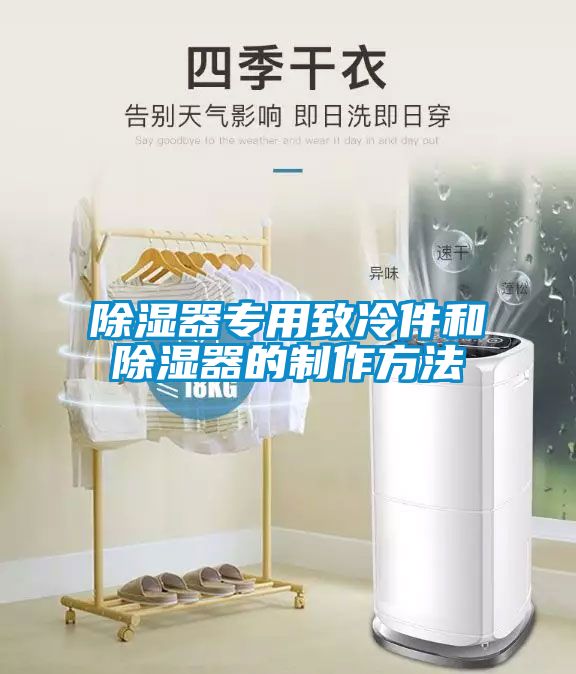 除濕器專用致冷件和除濕器的製作方法