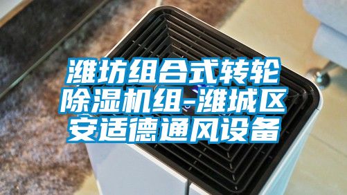 濰坊組合式轉輪草莓视频下载网址組-濰城區安適德通風設備