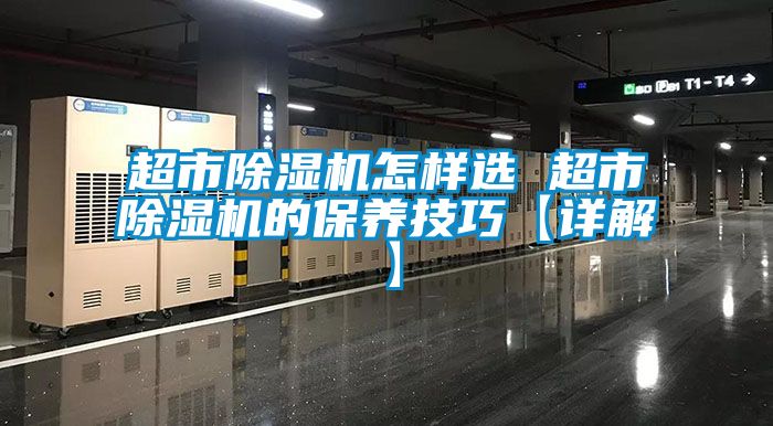 超市草莓视频下载网址怎樣選 超市草莓视频下载网址的保養技巧【詳解】