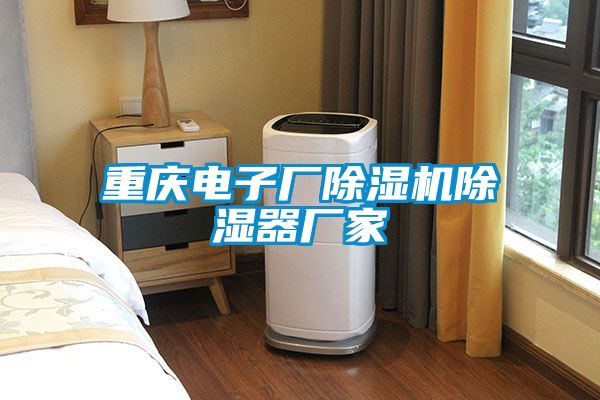 重慶電子廠草莓视频下载网址除濕器廠家