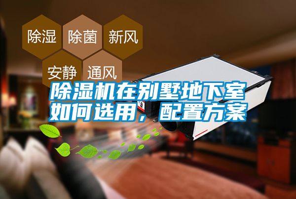 草莓视频下载网址在別墅地下室如何選用，配置方案