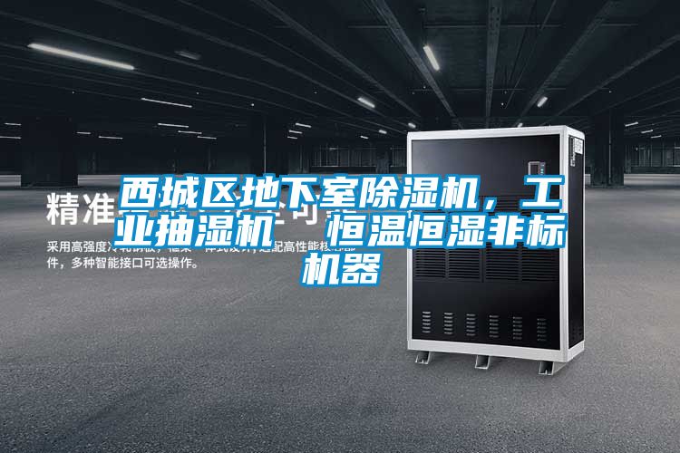 西城區地下室草莓视频下载网址，工業抽濕機  恒溫恒濕非標機器