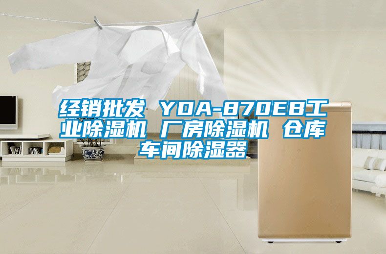 經銷批發 YDA-870EB工業草莓视频下载网址 廠房草莓视频下载网址 倉庫車間除濕器