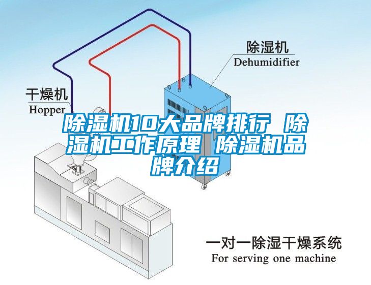 草莓视频下载网址10大品牌排行 草莓视频下载网址工作原理 草莓视频下载网址品牌介紹