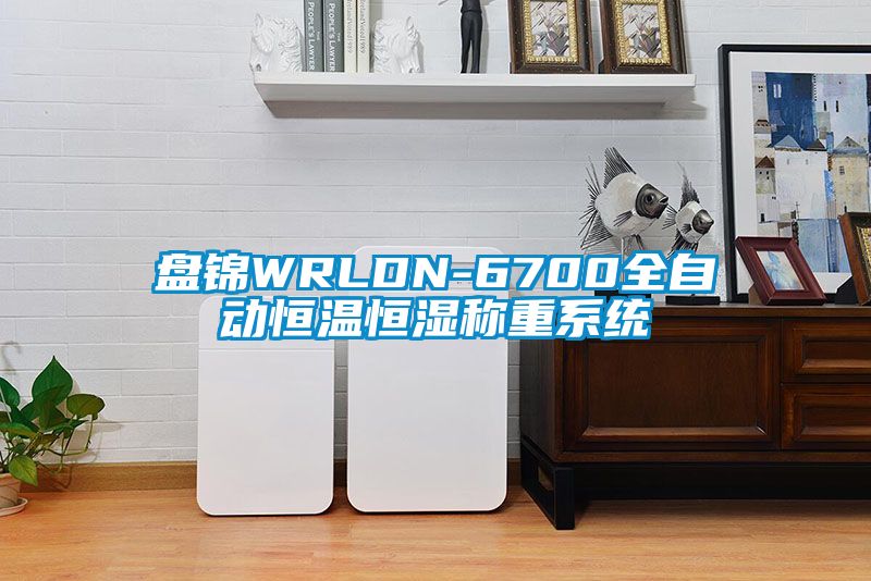 盤錦WRLDN-6700全自動恒溫恒濕稱重係統