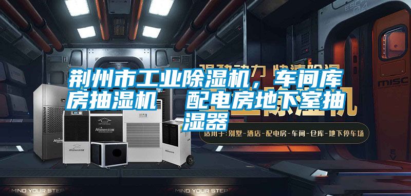 荊州市工業草莓视频下载网址，車間庫房抽濕機  配電房地下室抽濕器