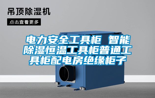 電力安全工具櫃 智能除濕恒溫工具櫃普通工具櫃配電房絕緣櫃子