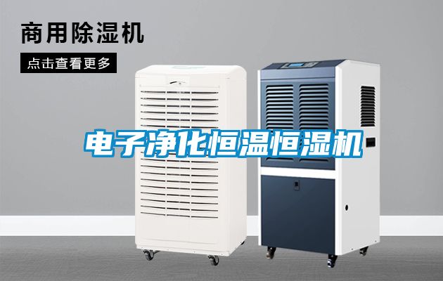 電子淨化恒溫恒濕機