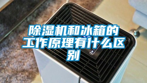 草莓视频下载网址和冰箱的工作原理有什麽區別