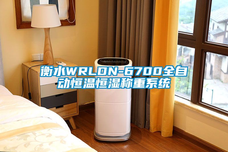 衡水WRLDN-6700全自動恒溫恒濕稱重係統