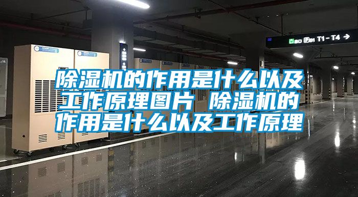 草莓视频下载网址的作用是什麽以及工作原理圖片 草莓视频下载网址的作用是什麽以及工作原理